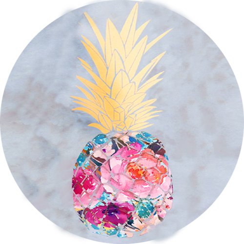 Flower Pineapple Design Soft Bumper Case for iPhone 7 Plus / iPhone 8 Plus